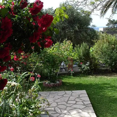 Bozikis &