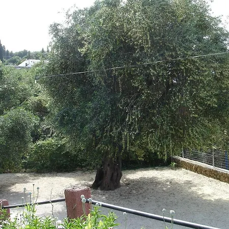 Bozikis & Apartament