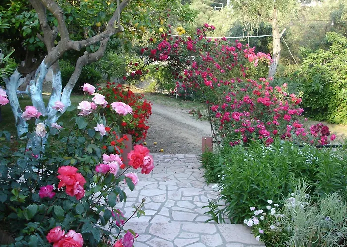Apartamento Bozikis &