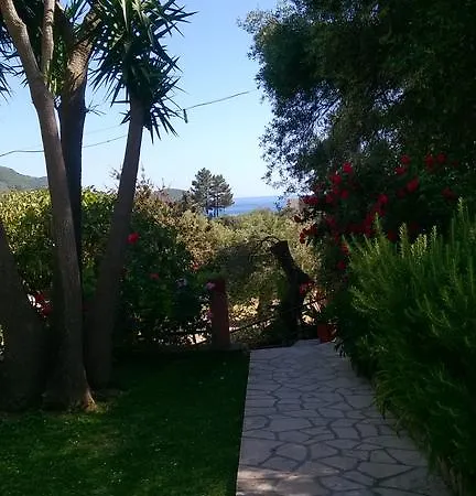 Bozikis & Studios شقة *