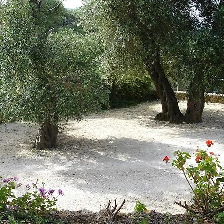 Bozikis & Studios باليوكاستريتسا