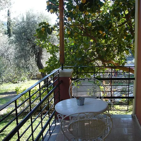 Bozikis & Studios باليوكاستريتسا