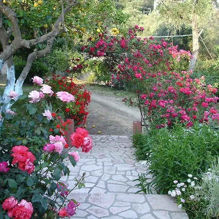 شقة Bozikis & Studios